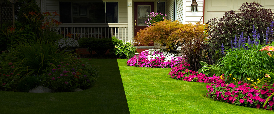 Red Lion Landscapers