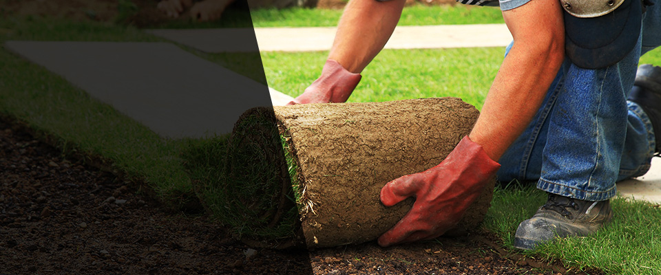 Red Lion Landscapers